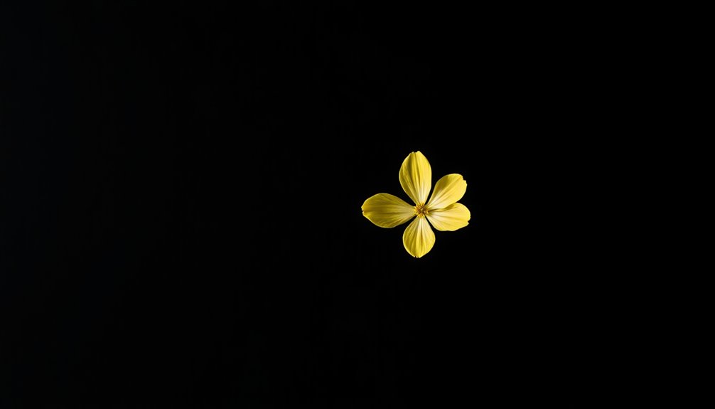 How to Leverage Negative Space for Maximum Impact